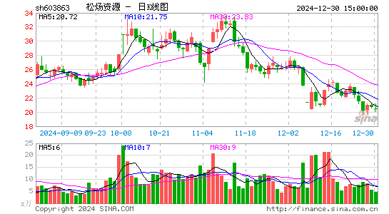 松炀资源