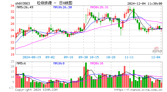 松炀资源