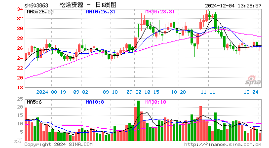 松炀资源