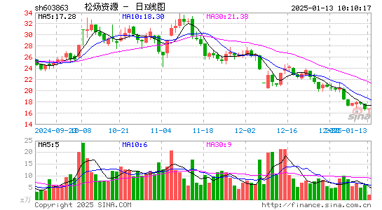 松炀资源