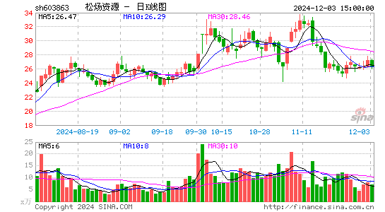 松炀资源