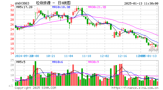 松炀资源