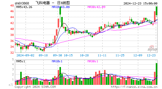 飞科电器