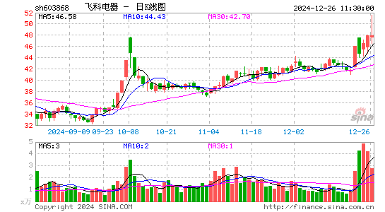 飞科电器