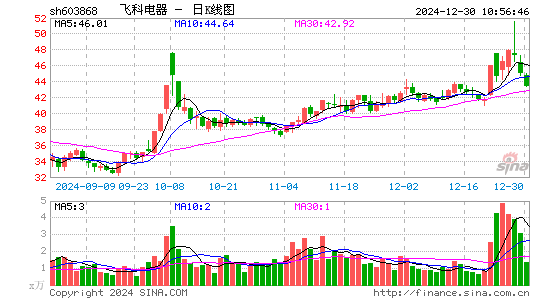 飞科电器