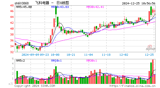 飞科电器