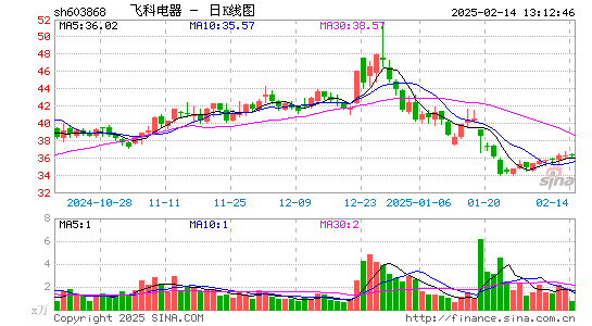 飞科电器