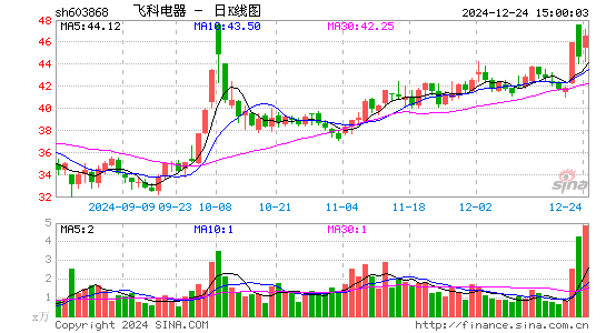 飞科电器