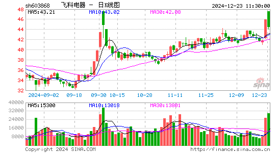 飞科电器