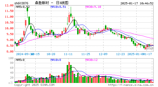 鼎胜新材