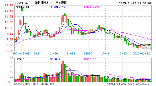 鼎胜新材