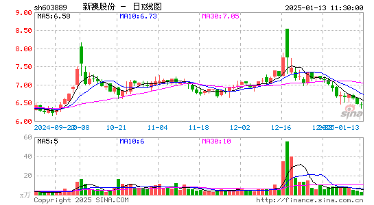 新澳股份