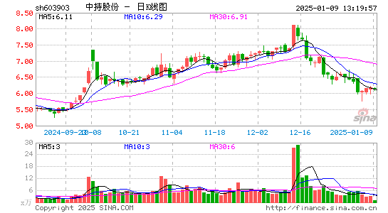 中持股份