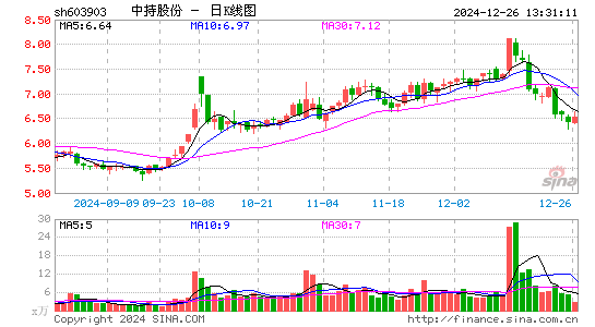 中持股份