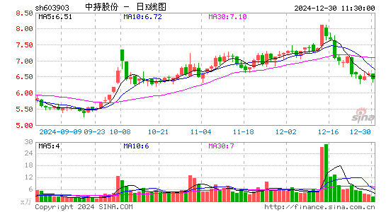 中持股份