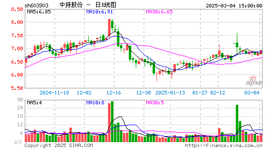 中持股份