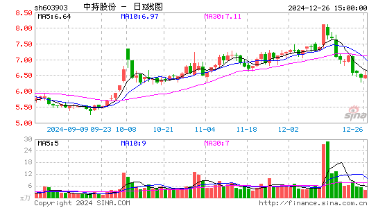 中持股份