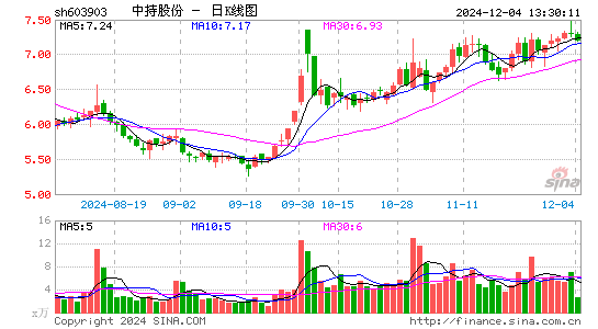 中持股份