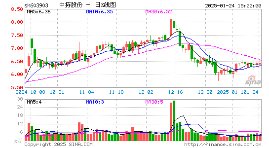 中持股份