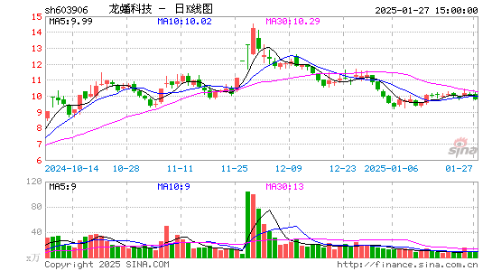 龙蟠科技