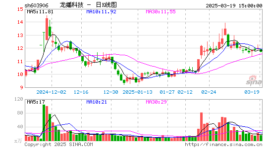 龙蟠科技