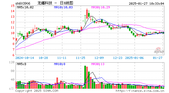 龙蟠科技