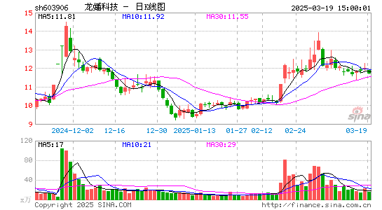 龙蟠科技