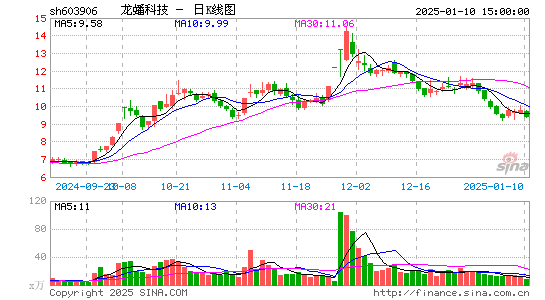 龙蟠科技