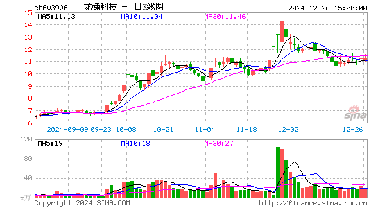 龙蟠科技