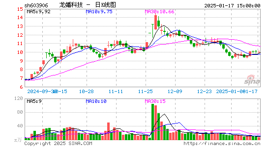 龙蟠科技