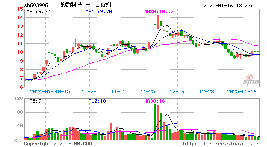 龙蟠科技