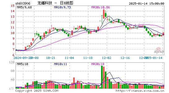 龙蟠科技