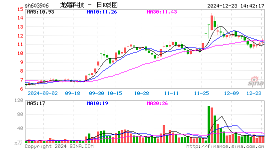 龙蟠科技