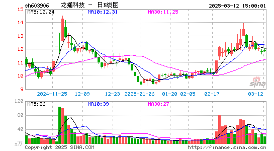 龙蟠科技