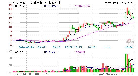 龙蟠科技