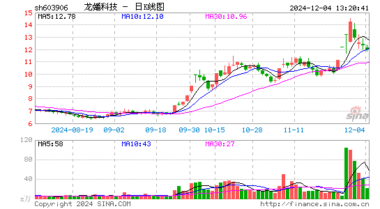 龙蟠科技