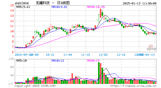 龙蟠科技