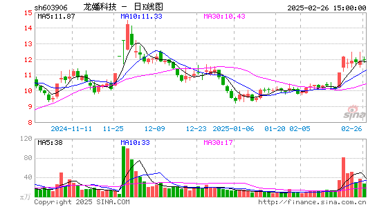 龙蟠科技