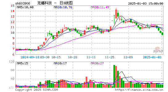 龙蟠科技