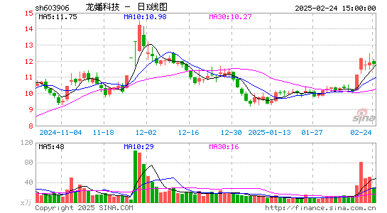 龙蟠科技