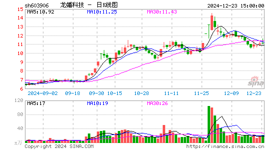 龙蟠科技