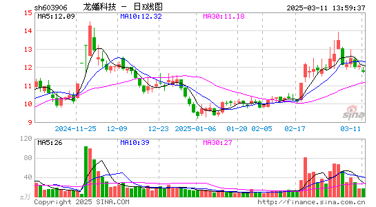 龙蟠科技