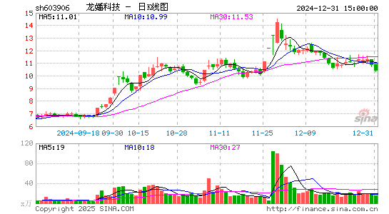 龙蟠科技