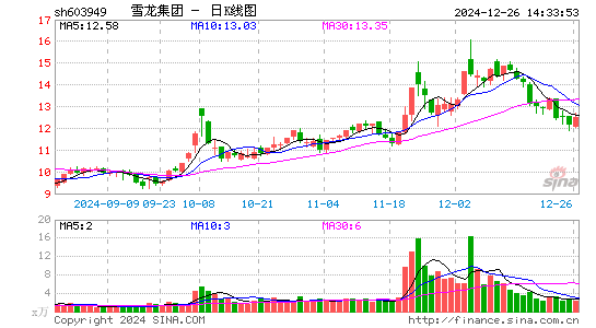 雪龙集团