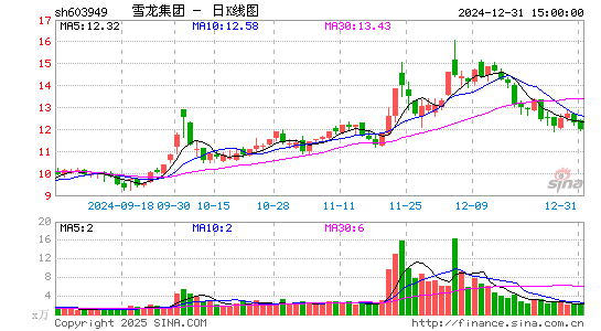 雪龙集团