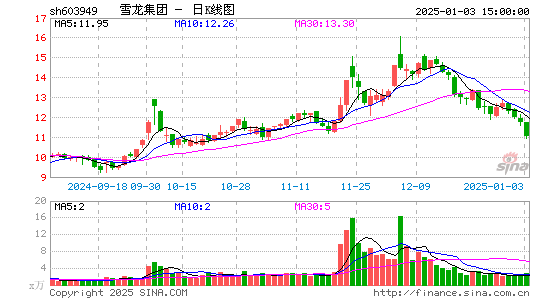 雪龙集团