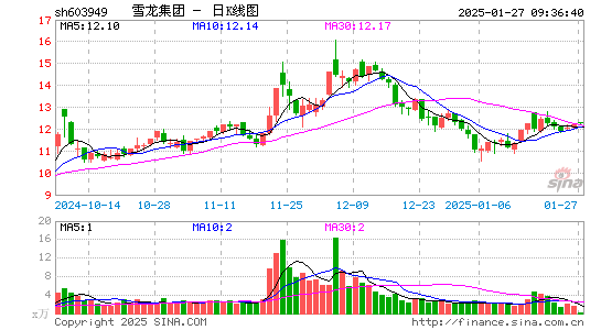 雪龙集团