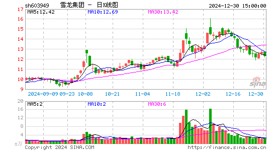 雪龙集团