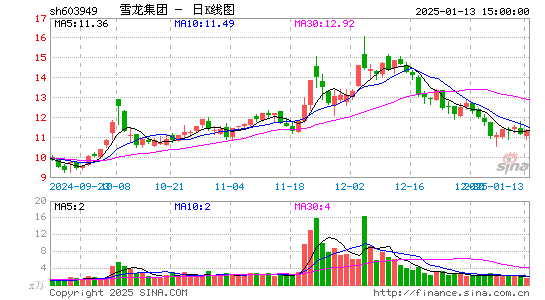 雪龙集团