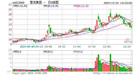 雪龙集团